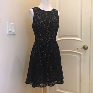 NWT Banana Republic navy /nude stretch lace dress
